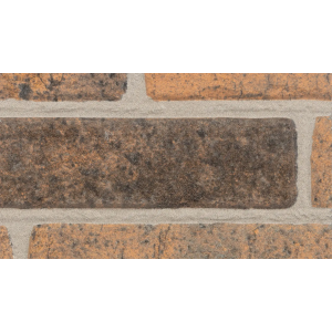 11300-300x300
